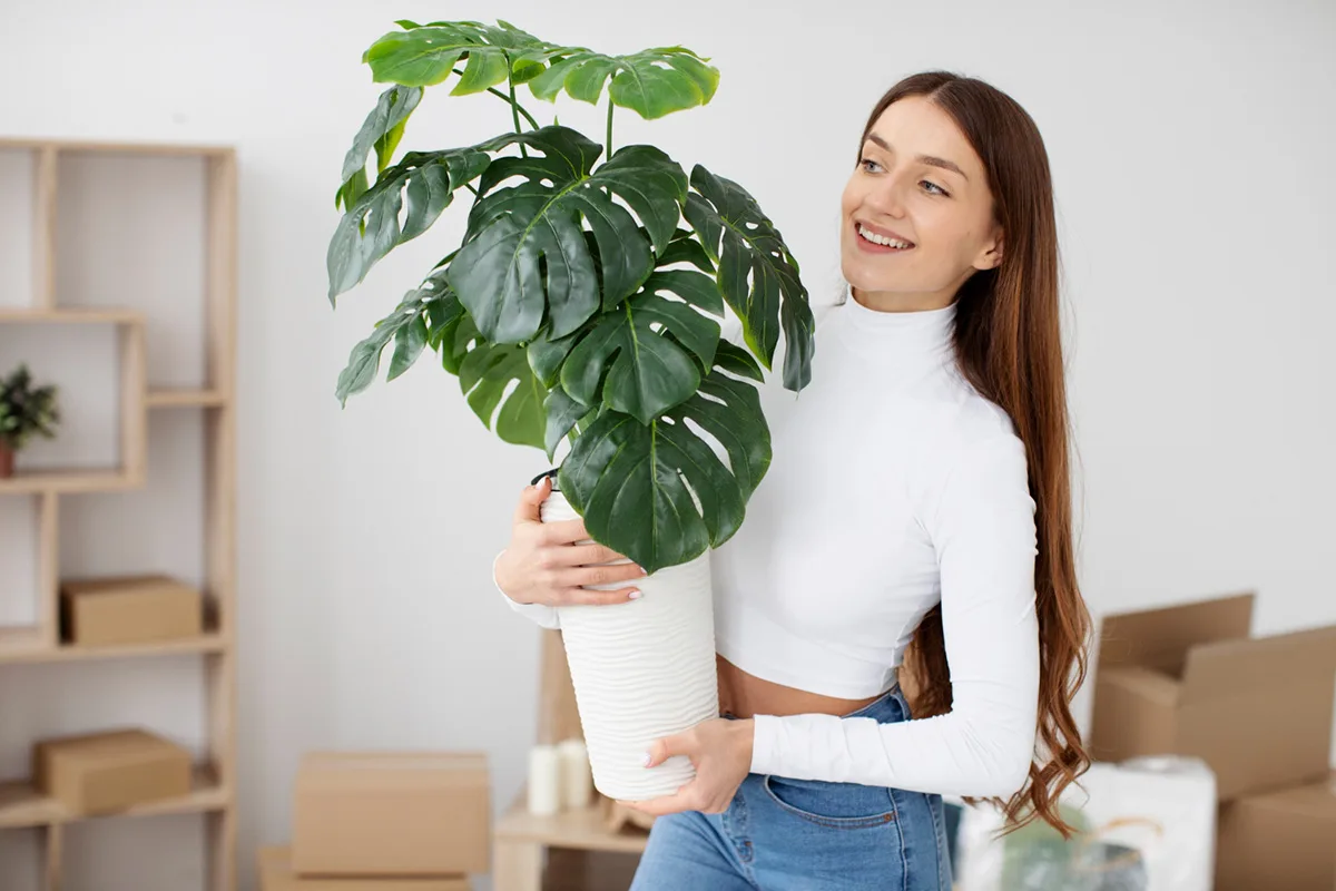 Apartment Items to Buy that will Make You Happier