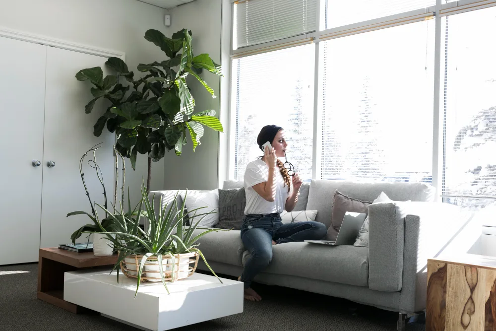 Sustainable Apartment Living for Renters
